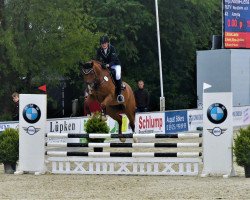 dressage horse Amyla (Polish Warmblood, 2010, from Azart)