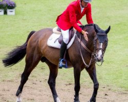 stallion Taloubet Z (KWPN (Royal Dutch Sporthorse), 2000, from Galoubet A)