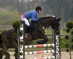 jumper Nykos (German Riding Pony, 1995, from Nobel)