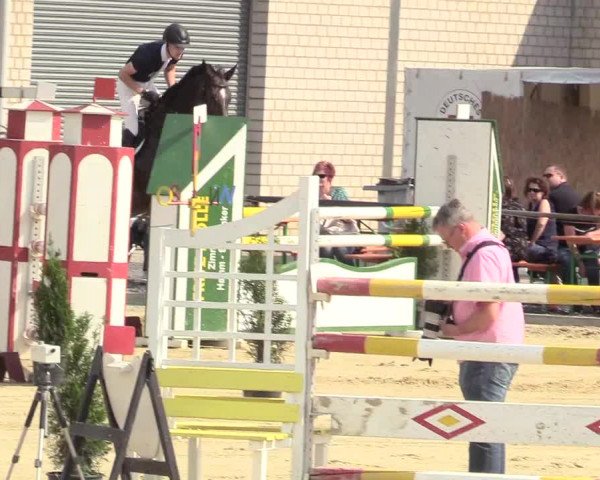 Reitturnier Hamm-Rhynern 2018