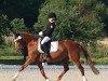 dressage horse Duchess Free (German Riding Pony, 2002, from Dornik B)