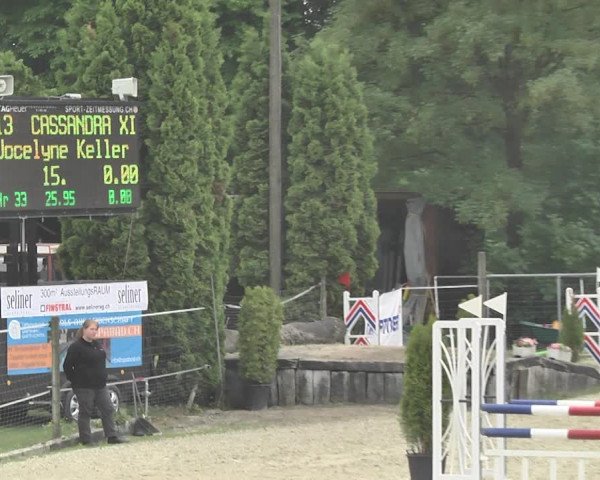Reitturnier Winkel 2018