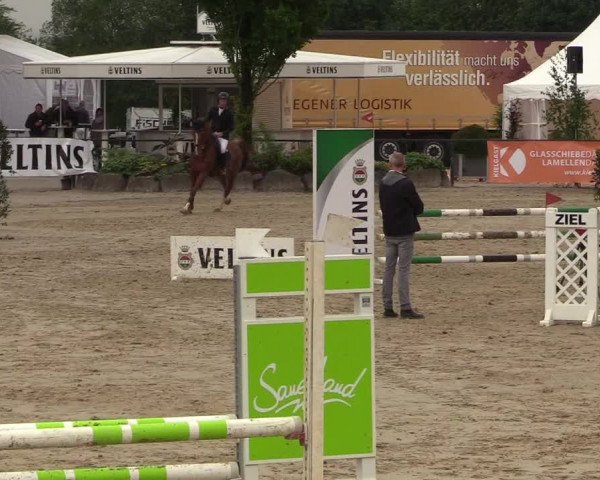 Reitturnier Hellefeld 2018