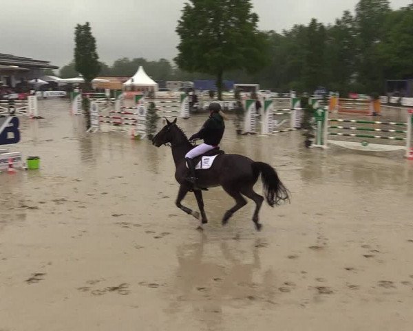 Reitturnier Hellefeld 2018