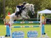 jumper Nirajana (German Riding Pony, 2007, from Nuts)