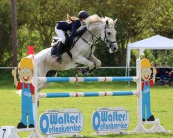 jumper Nirajana (German Riding Pony, 2007, from Nuts)