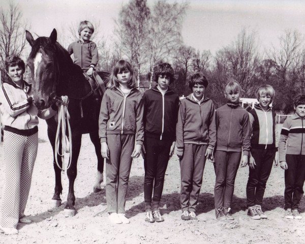 Pferd Brosena (Edles Warmblut, 1976, von Brokat)