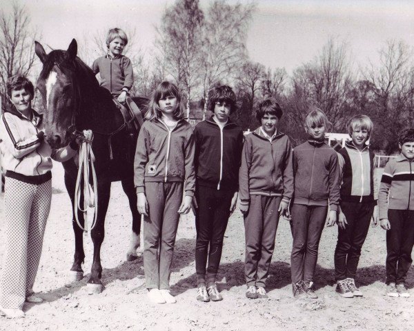 horse Brosena (Noble Warmblood, 1976, from Brokat)