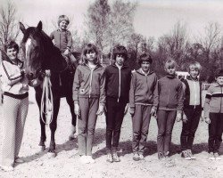 Pferd Brosena (Edles Warmblut, 1976, von Brokat)