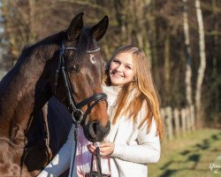 dressage horse Cascalina (Oldenburg, 2009, from Cachas)