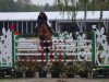 Springpferd High Quality J (Belgisches Warmblut, 2007, von Quadrillo)