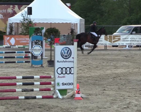 Reitturnier Hellefeld 2018