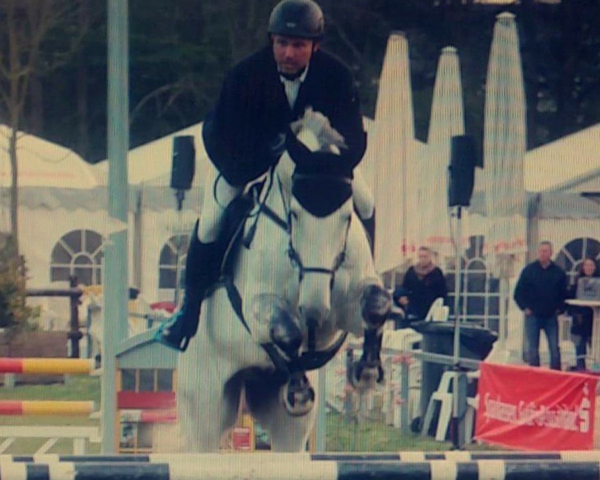 jumper Hassini St Ghyvan (Belgian Warmblood, 2007, from Cassini II)