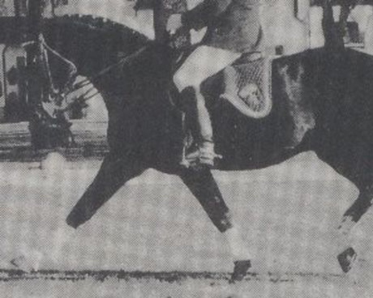 stallion Koloman (Bavarian, 1976, from Komet 511)