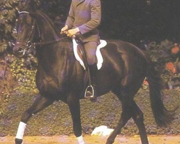 stallion Killer xx (Thoroughbred, 1974, from Pentathlon xx)