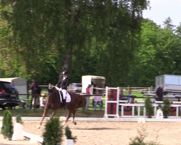 Reitturnier Ahlen 2018