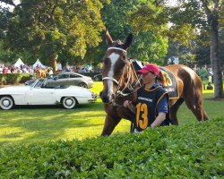 horse Quinceanera xx (Thoroughbred, 2011, from Saddex xx)