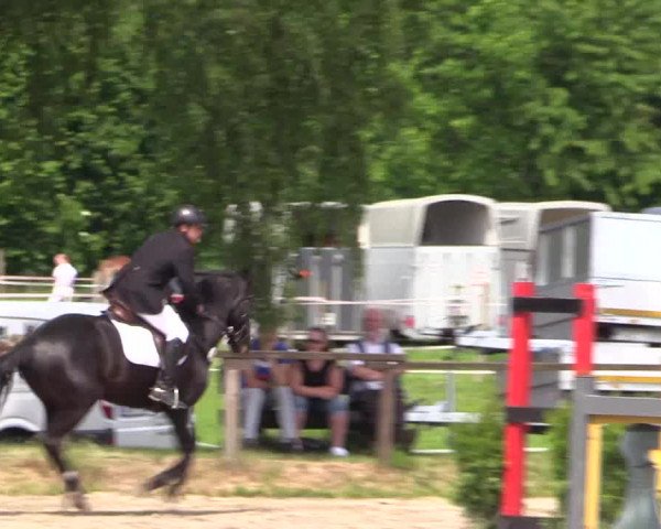 Reitturnier Ahlen 2018