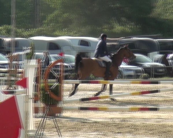 Reitturnier Ratingen-Lintorf 2018
