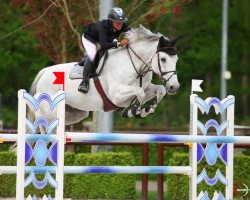 jumper Zorado (KWPN (Royal Dutch Sporthorse), 2004, from Indorado)