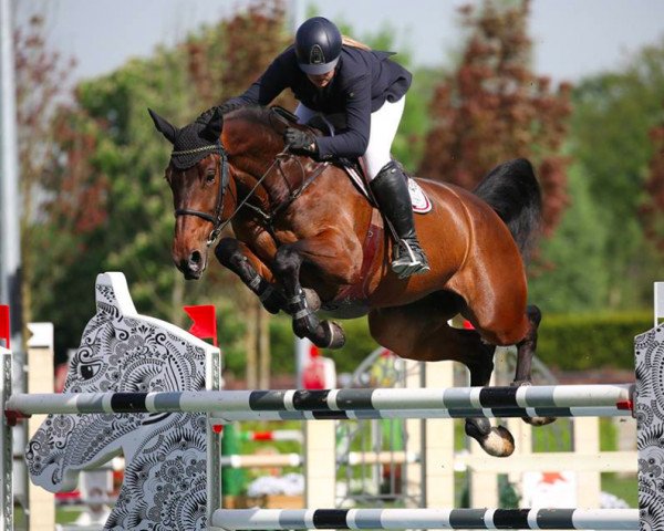 broodmare Fiarabo (KWPN (Royal Dutch Sporthorse), 2010, from Diarado)