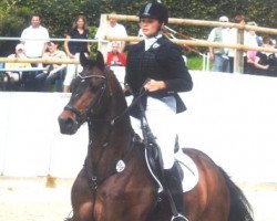 jumper Luigi 195 (Hanoverian, 2002, from Lanciano)