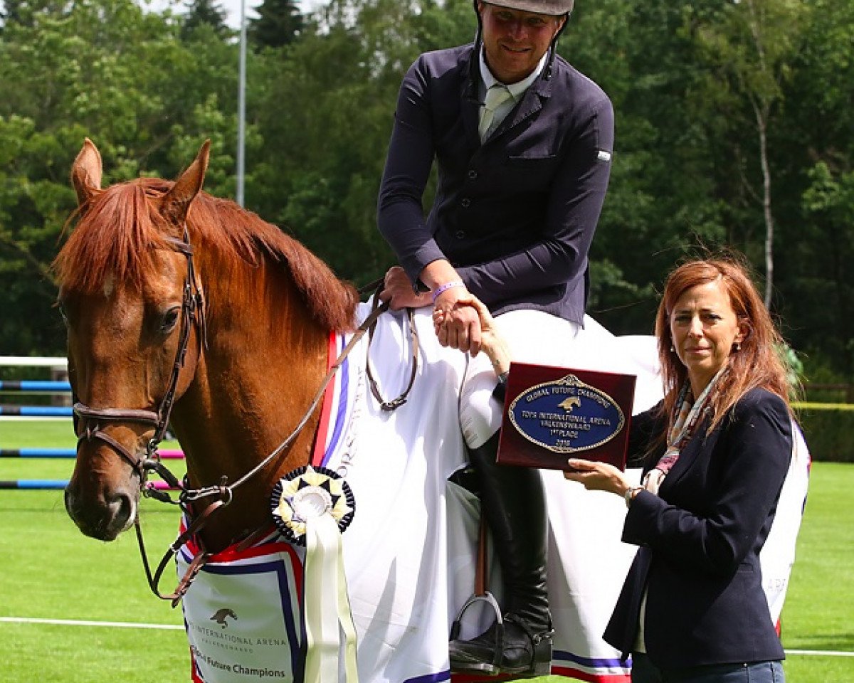 Springpferd Juka Z van de Doornakkers (Belgisches Warmblut, 2009, von Lord Z)