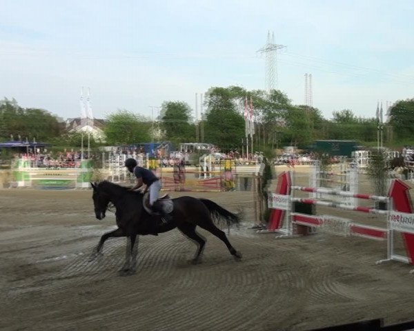 Reitturnier Ratingen-Lintorf 2018