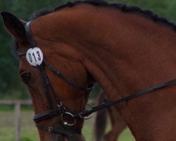 dressage horse Aquarello 2 (Bavarian, 2000, from Asti Spumante 7)