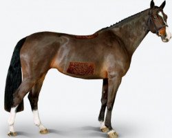 jumper Edita (KWPN (Royal Dutch Sporthorse), 2009, from Ukato)