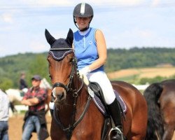 jumper Final Hope (Hanoverian, 2004, from Forsyth)