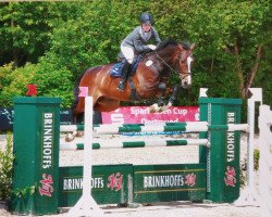 Springpferd Classic Man V (Westfale, 2005, von Cornet Obolensky)