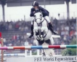 stallion Schneesturm (Trakehner, 1994, from Abdullah)