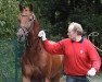 dressage horse Farfarello M (Westphalian, 2010, from Fidertanz)