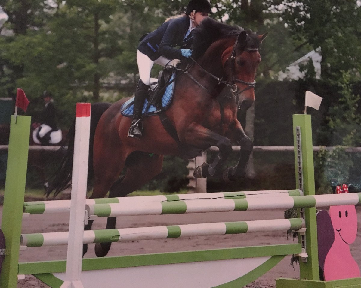 jumper Roxette 163 (Rhinelander, 2009, from Rapid Star)