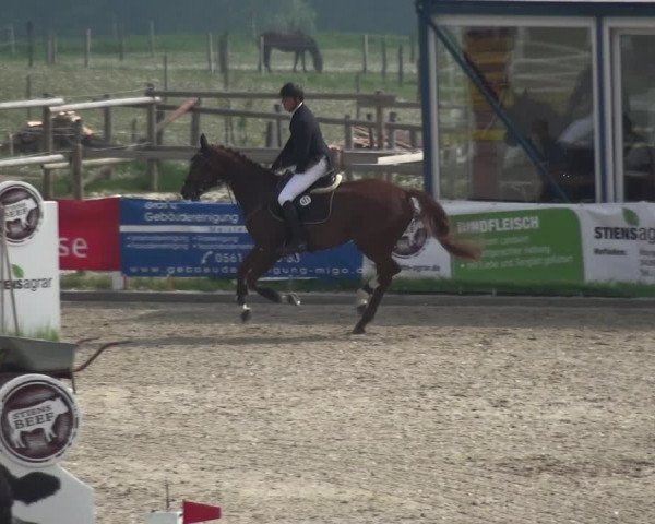 Reitturnier Fürstenwald 2018