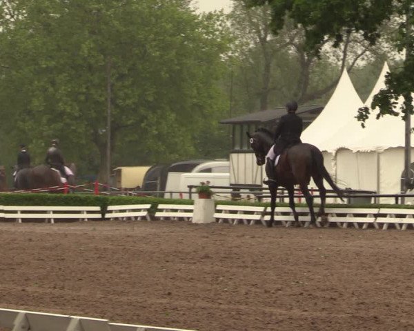 Reitturnier Hamm-Rhynern 2018