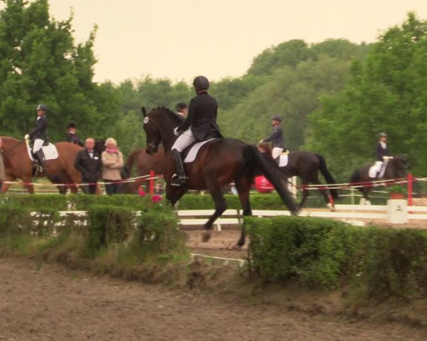 Reitturnier Hamm-Rhynern 2018