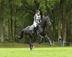 Springpferd Courage de Coer (Hannoveraner, 2013, von Concours Complet)