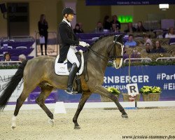 dressage horse Rovereto 4 (Hanoverian, 2007, from Rousseau)