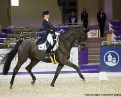 dressage horse Diva Noir (Hanoverian, 2007, from Diamond Hit)