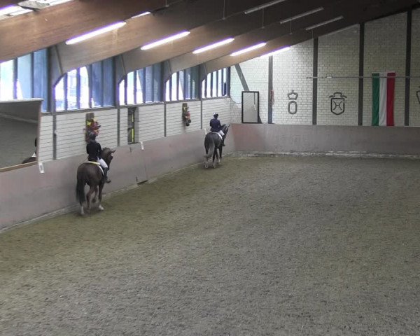 Reitturnier Hamm-Rhynern 2018