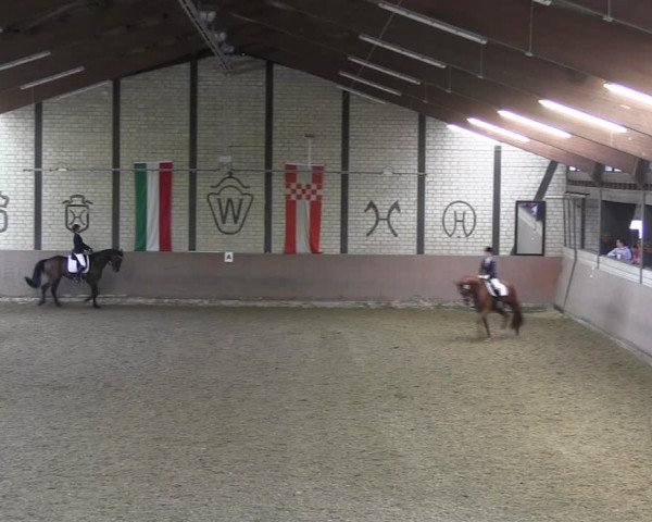 Reitturnier Hamm-Rhynern 2018