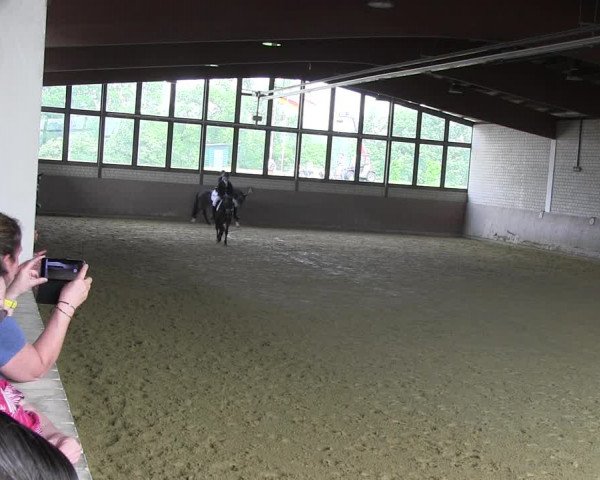 Reitturnier Hamm-Rhynern 2018