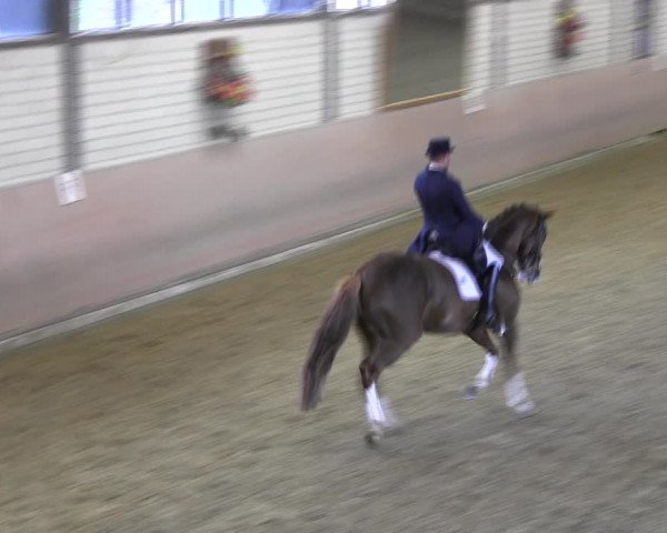 Reitturnier Hamm-Rhynern 2018