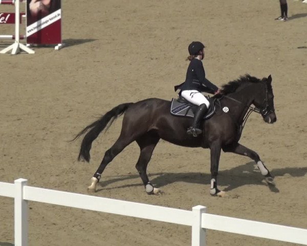 Reitturnier Fürstenwald 2018