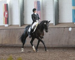 dressage horse Clarissa 98 (Württemberger, 2000, from Cabaret)