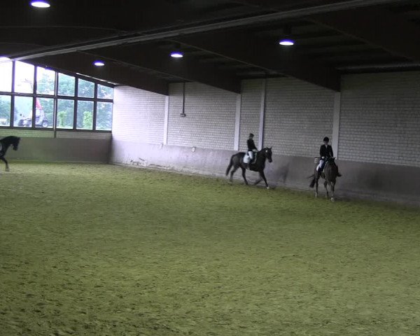 Reitturnier Hamm-Rhynern 2018