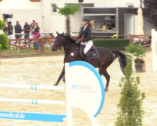 Equus Colonius - Reitanlage Brüse Köln 2021