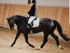 dressage horse Fürst Silvio (Westphalian, 2011, from Fürst Frederik)